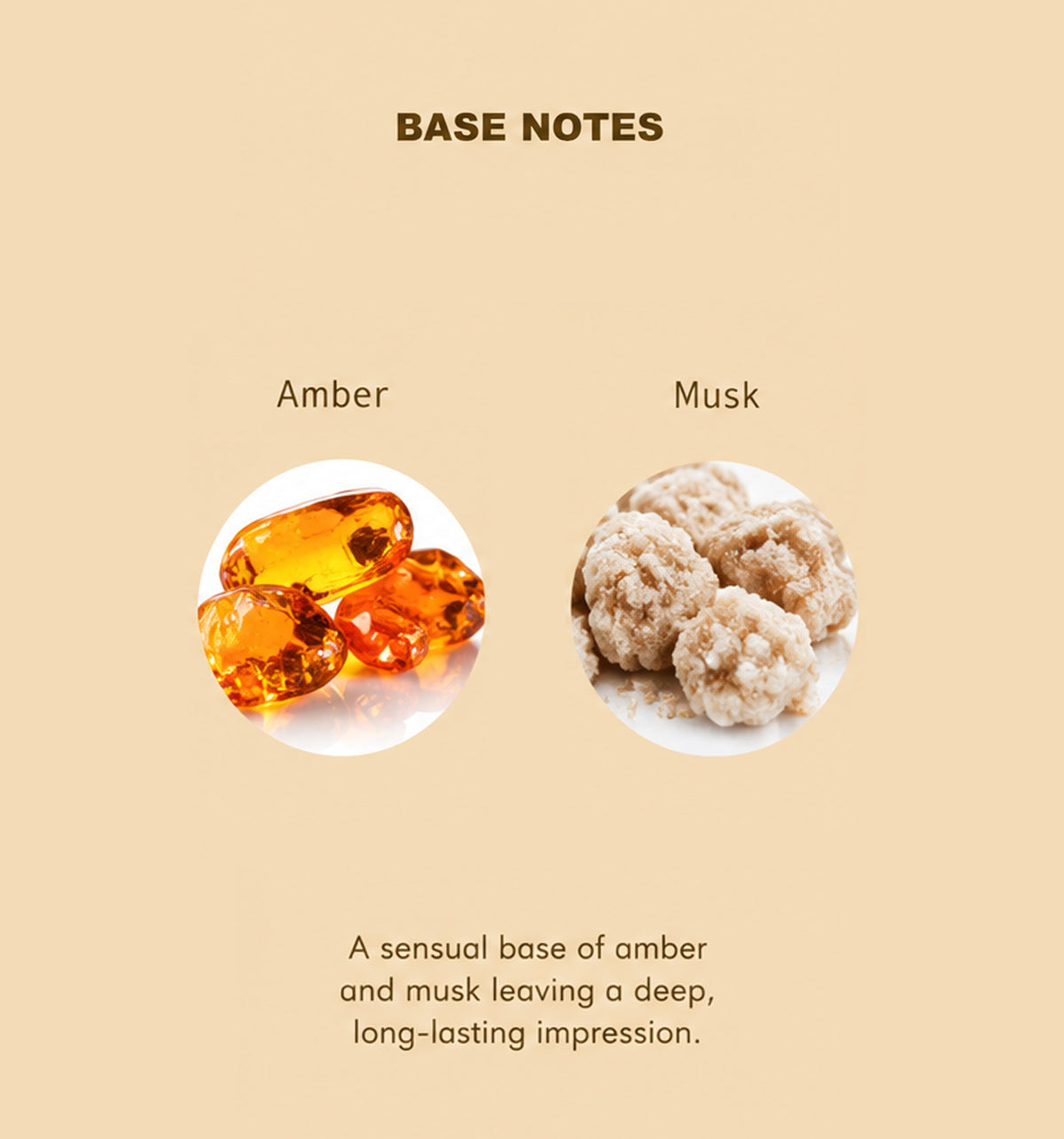 Queen Eau de Parfum base fragrance notes: Amber and musk