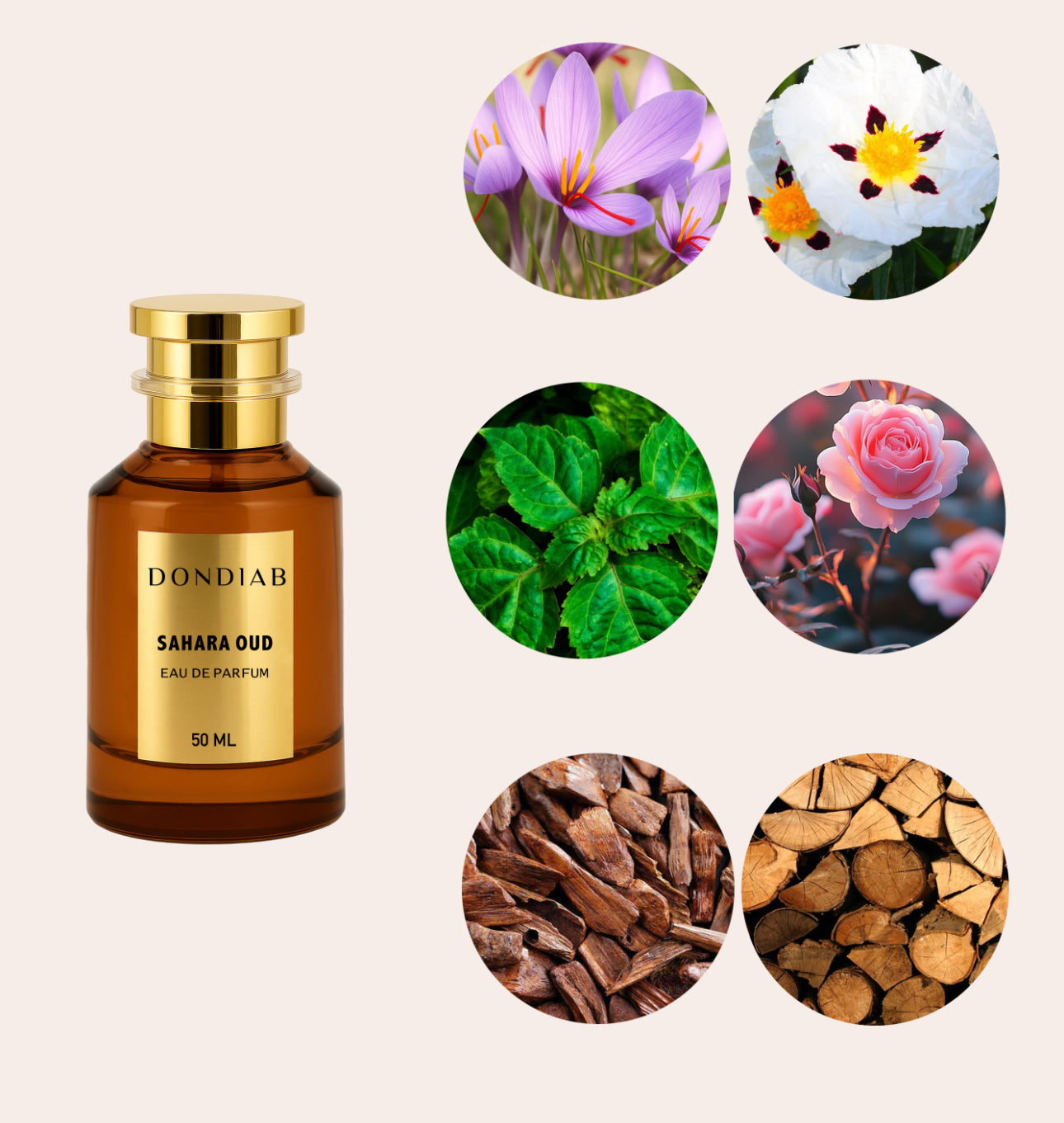 SAHARA OUD EAU DE PARFUM