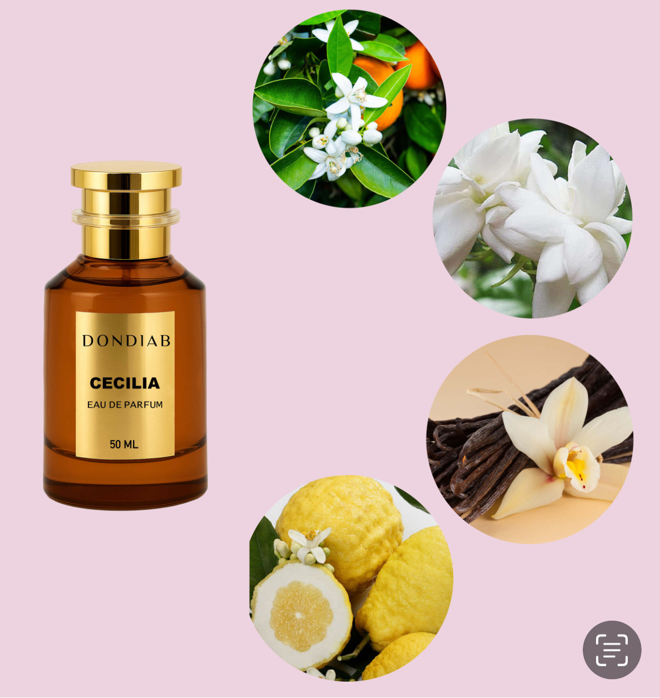 CECILIA EAU DE PARFUM
