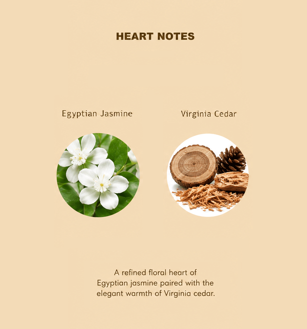 Queen Eau de Parfum heart fragrance notes: Egyptian jasmine and Virginia cedar